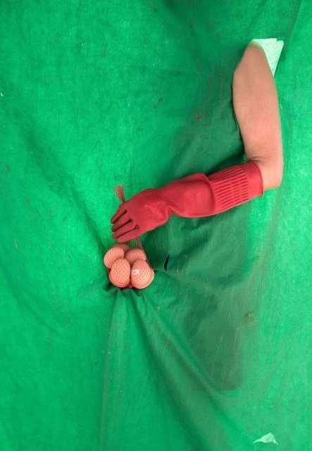 Overhead shot of an arm wearing a red glove, manipulating a collection of balls wrapped in netting, set against a green backdrop.