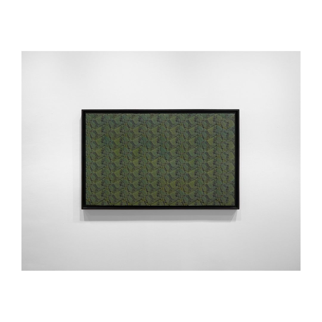 Framed abstract art featuring a textured, dark-green pattern, hanging on a white wall in an indoor setting with natural lighting.