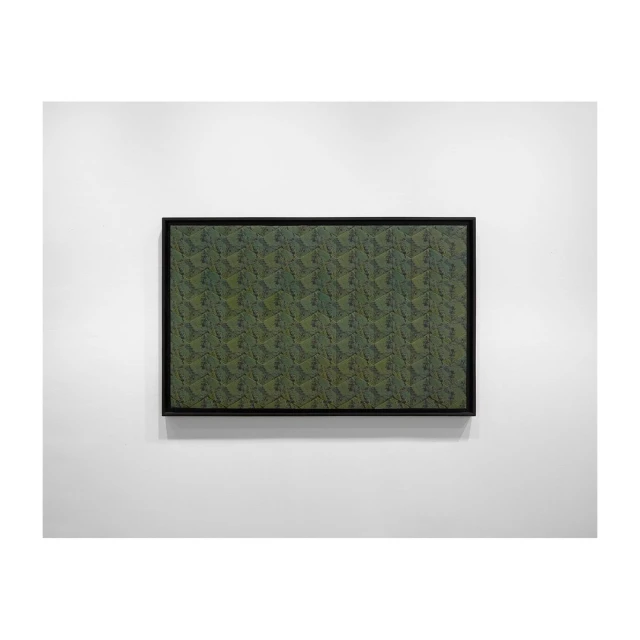 Framed abstract art featuring a textured, dark-green pattern, hanging on a white wall in an indoor setting with natural lighting.