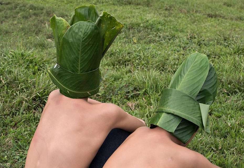 Close-up of two individuals holding up bouquets of green leaves against a grassy background, showcasing creative use of natural materials.