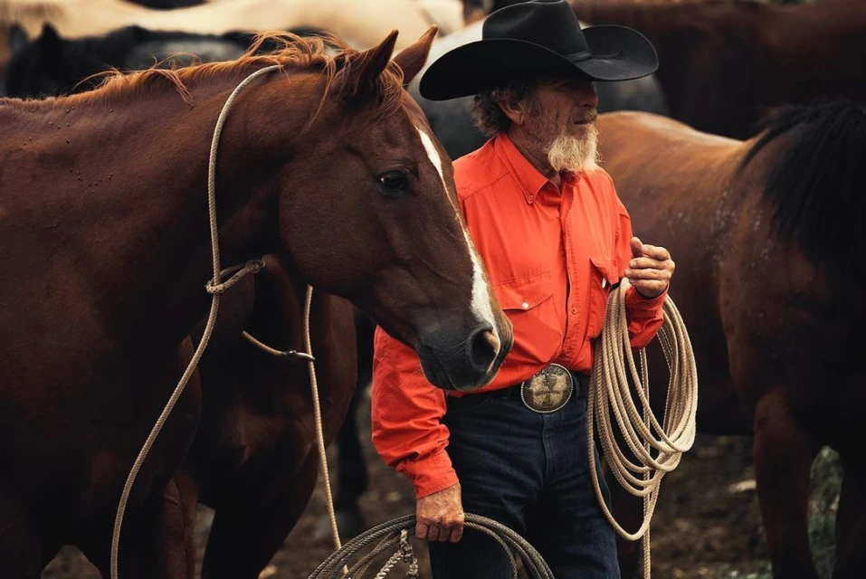 Older cowboy with a horse. He's wearing a cowboy hat, orange shirt, and jeans, holding a rope, standing outdoors surrounded by horses.