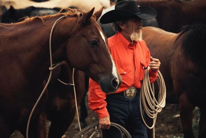Older cowboy with a horse. He's wearing a cowboy hat, orange shirt, and jeans, holding a rope, standing outdoors surrounded by horses.