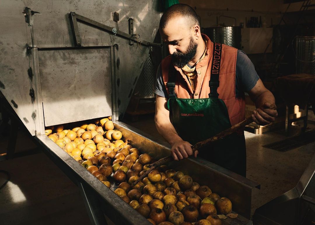 A man wearing a green apron and orange vest is using a wooden tool to move yellow apples in an industrial metal sorting machine.