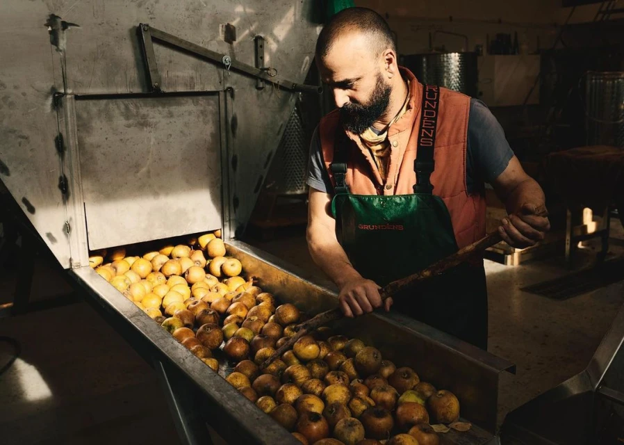 A man wearing a green apron and orange vest is using a wooden tool to move yellow apples in an industrial metal sorting machine.