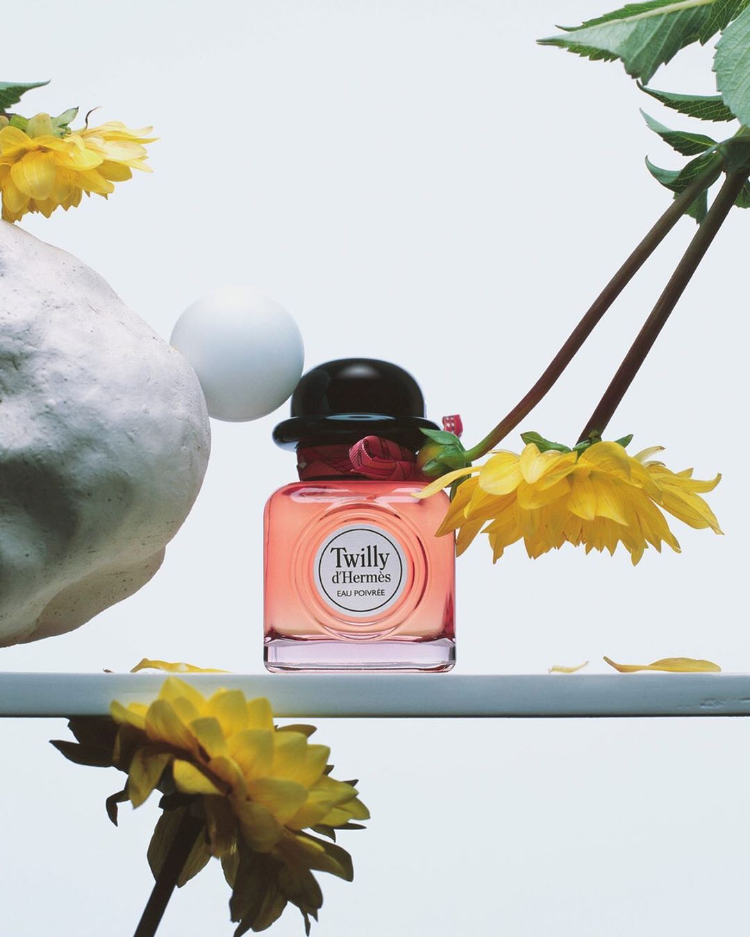 Close-up studio shot of a Twilly d'Hermès Eau Poivrée perfume bottle with yellow flowers, a gray stone, and a white sphere, against white.
