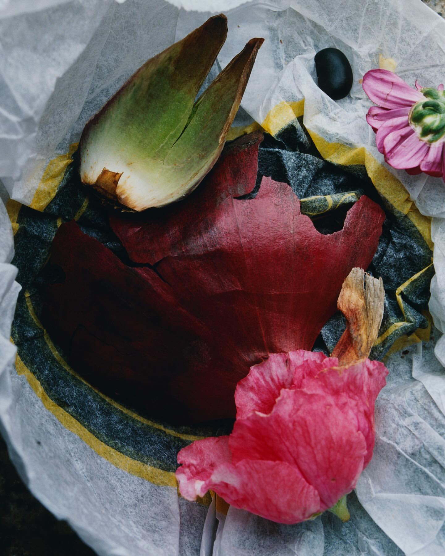 Overhead shot of a pink flower, a seed pod, a dark seed, and paper, showcasing natural textures and light shadows in a still life.