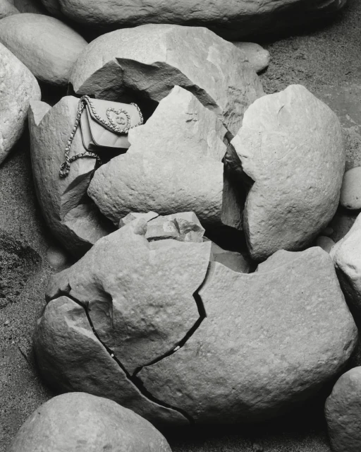 Monochrome still life of a purse nestled inside broken stone fragments, set against a rough gravelly background in a close-up shot.