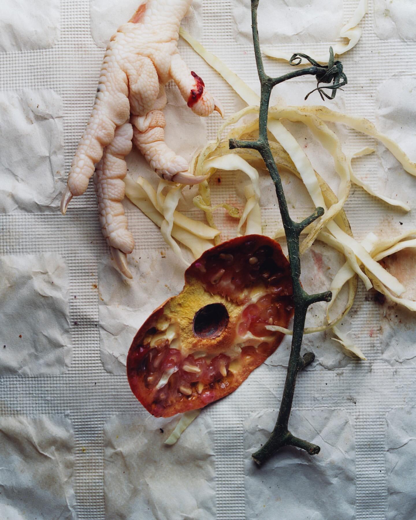 Still life photograph of a chicken foot, sliced tomato, and a bare branch on wrinkled parchment paper, top-down perspective.