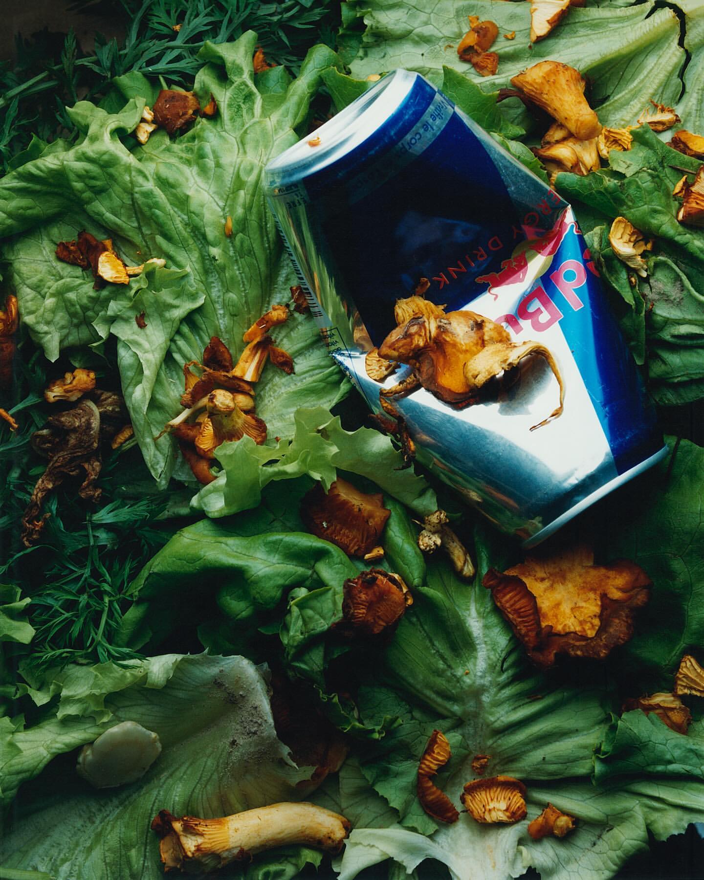 Overhead shot of a Red Bull can amid vibrant green lettuce leaves and golden chanterelle mushrooms, creating a blend of colours and textures.