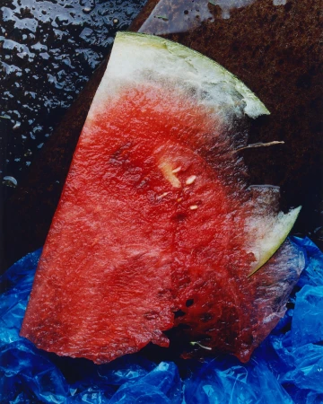 Close-up of a vibrant watermelon slice displaying its bright red flesh, scattered seeds, and a portion of rind against a plastic bag.