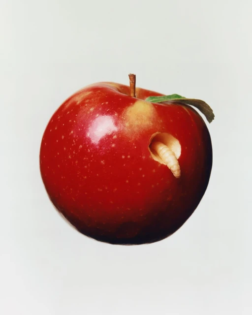 A red apple with a worm emerging from a hole on a white background. The apple is mostly red with a brown stem and a green leaf.