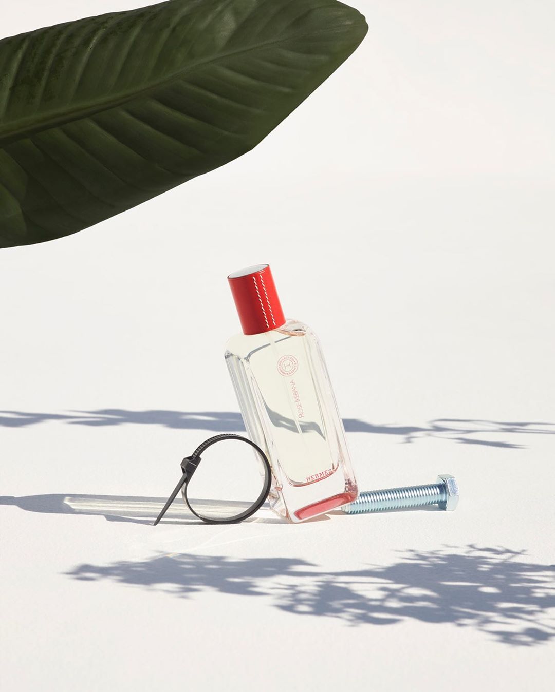 Still life studio shot of an Hermès fragrance bottle, blue bolt, black zip tie, and a green leaf against a white background.