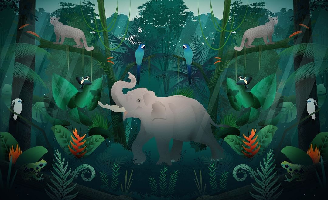 Illustration of a lush jungle scene with an elephant, jaguars, macaws, birds, frogs, ferns, and other tropical plants in vibrant colors.