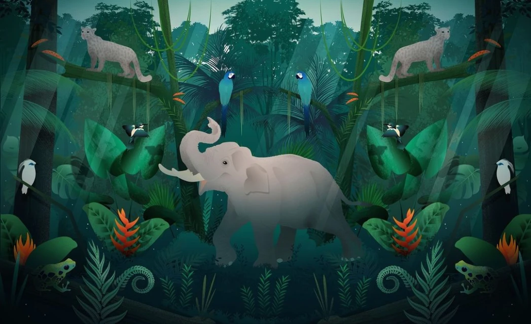 Illustration of a lush jungle scene with an elephant, jaguars, macaws, birds, frogs, ferns, and other tropical plants in vibrant colors.