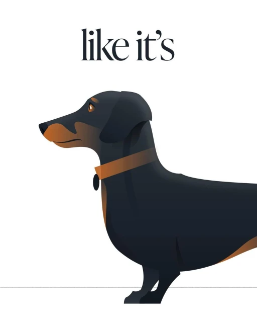 Illustration of a smooth black dachshund dog with brown accents wearing a collar, with the text 'like it's' above it.