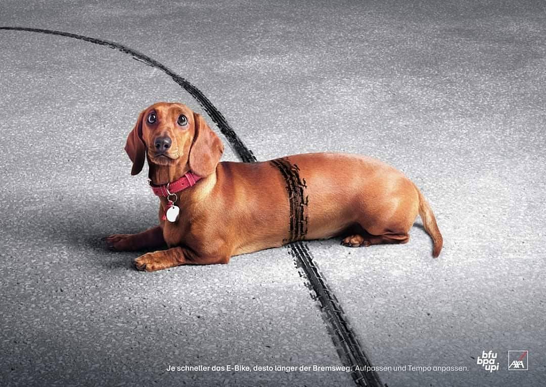 A dachshund with a red collar lies on asphalt with tire tracks across its body in a conceptual image, beside safety advertising.