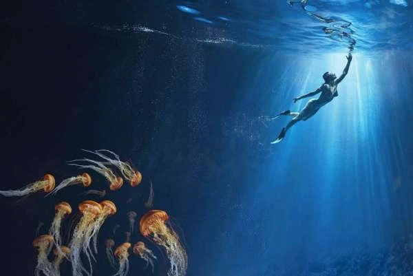 Underwater view of a woman swimming towards the surface with jellyfish in the foreground and light rays shining from above.
