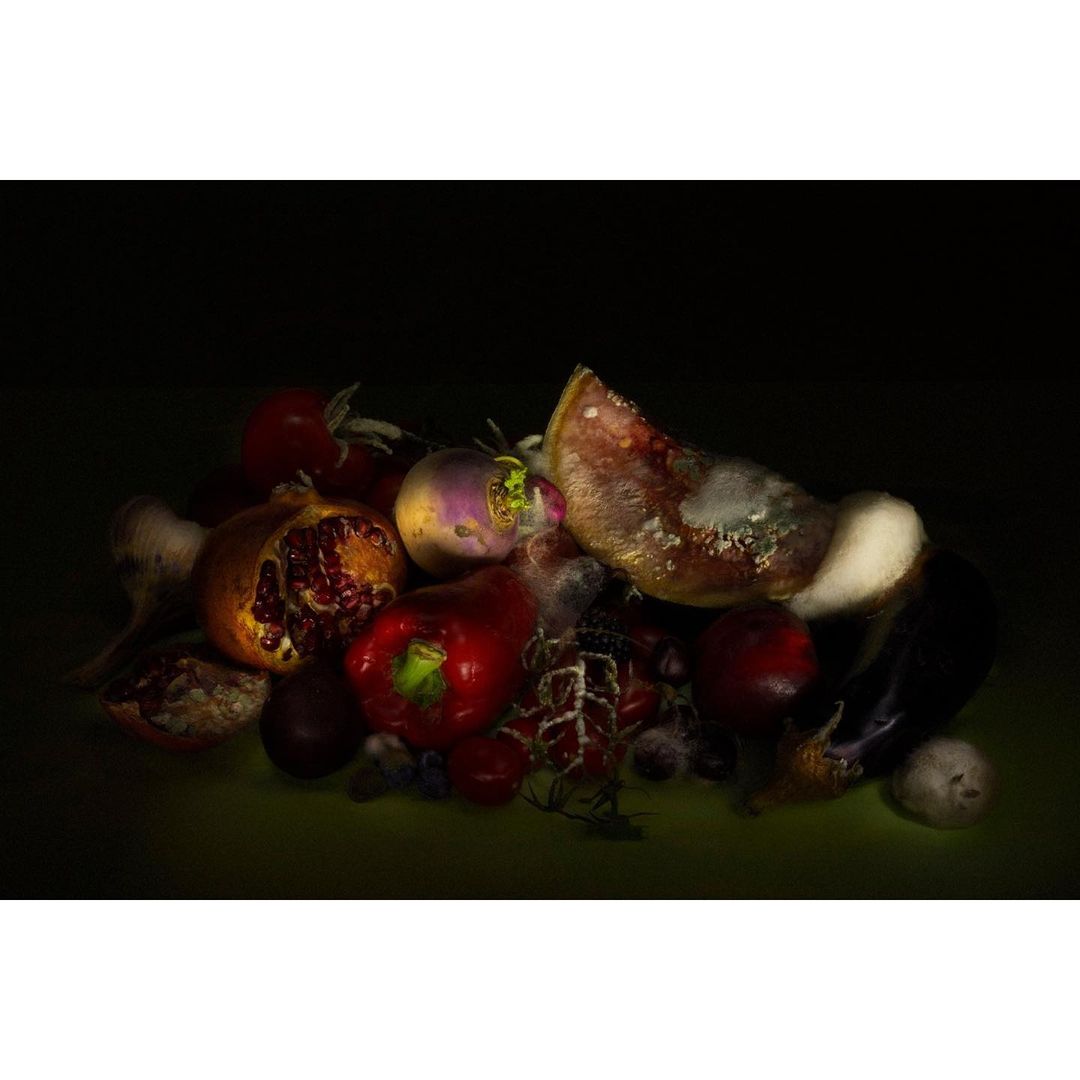 Decaying produce arrangement in a dark still life: water melon, red pepper, eggplant, pomegranate, turnip, tomato, garlic, plums.