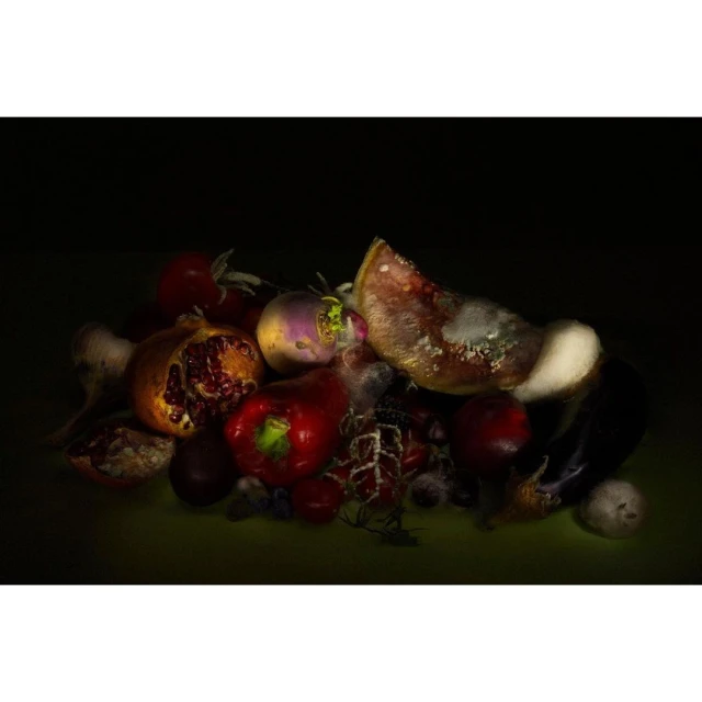 Decaying produce arrangement in a dark still life: water melon, red pepper, eggplant, pomegranate, turnip, tomato, garlic, plums.