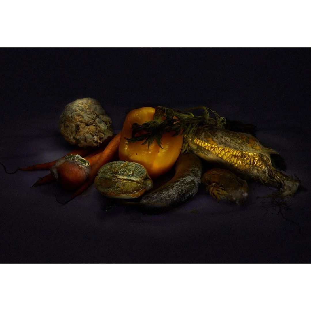 Still life photograph of ripe yellow bell pepper, corn on the cob, carrot, zucchini, and cabbage against a dark background.
