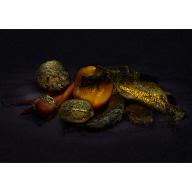 Still life photograph of ripe yellow bell pepper, corn on the cob, carrot, zucchini, and cabbage against a dark background.