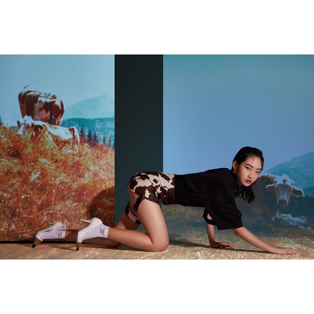 Young Asian woman in cow-print shorts poses on hands and knees in front of projected cow pasture and cow portrait backgrounds.