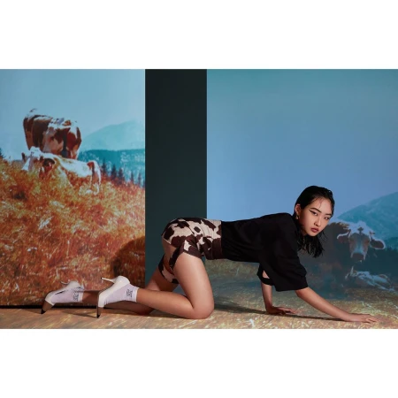 Young Asian woman in cow-print shorts poses on hands and knees in front of projected cow pasture and cow portrait backgrounds.