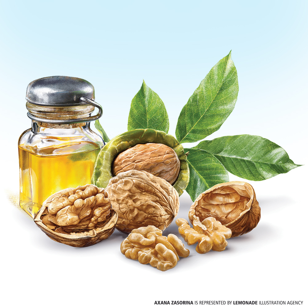 Illustration of walnuts, walnut oil in a glass bottle, and green leaves set against a soft gradient blue and white background.