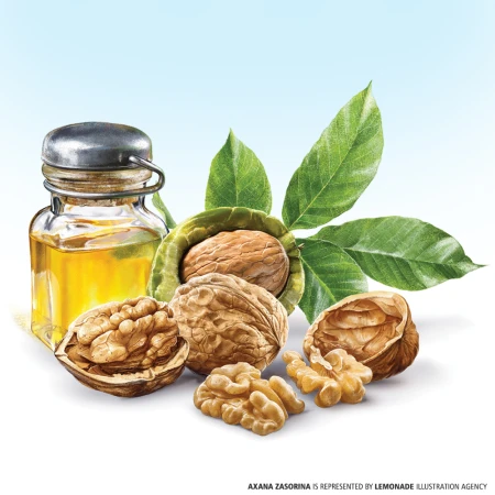 Illustration of walnuts, walnut oil in a glass bottle, and green leaves set against a soft gradient blue and white background.