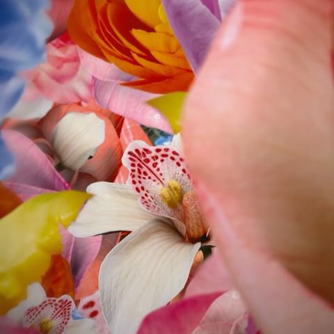 Close-up of a vibrant collection of flowers including orchids, roses, and ranunculus in a variety of colors: pink, yellow, orange, and purple.
