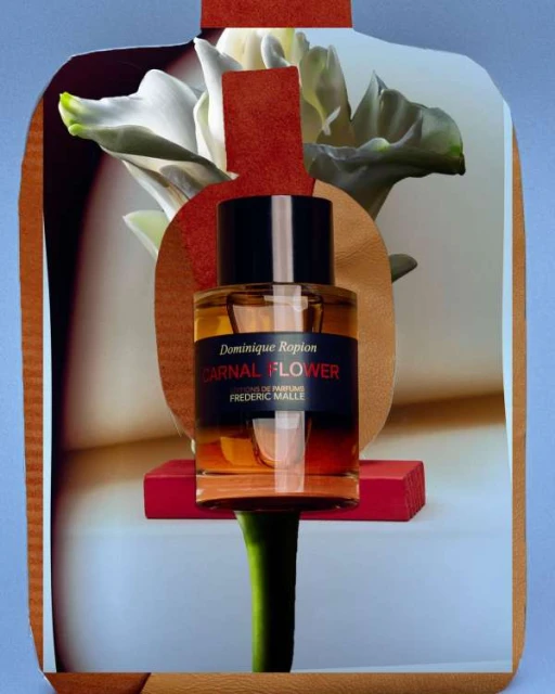 Artistic collage featuring a perfume bottle, floral elements, and geometric shapes in contrasting colors for a visually striking composition.