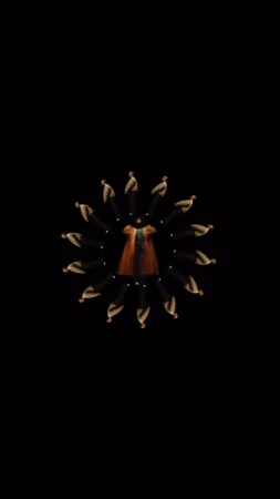 Kaleidoscopic fashion video with people arranged in a circle around a dress in a black background, creating a dynamic visual pattern.