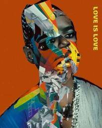 Mixed-media collage portrait of a Black person with face fragmented by overlapping colourful cutout shapes and text reading LOVE IS LOVE.