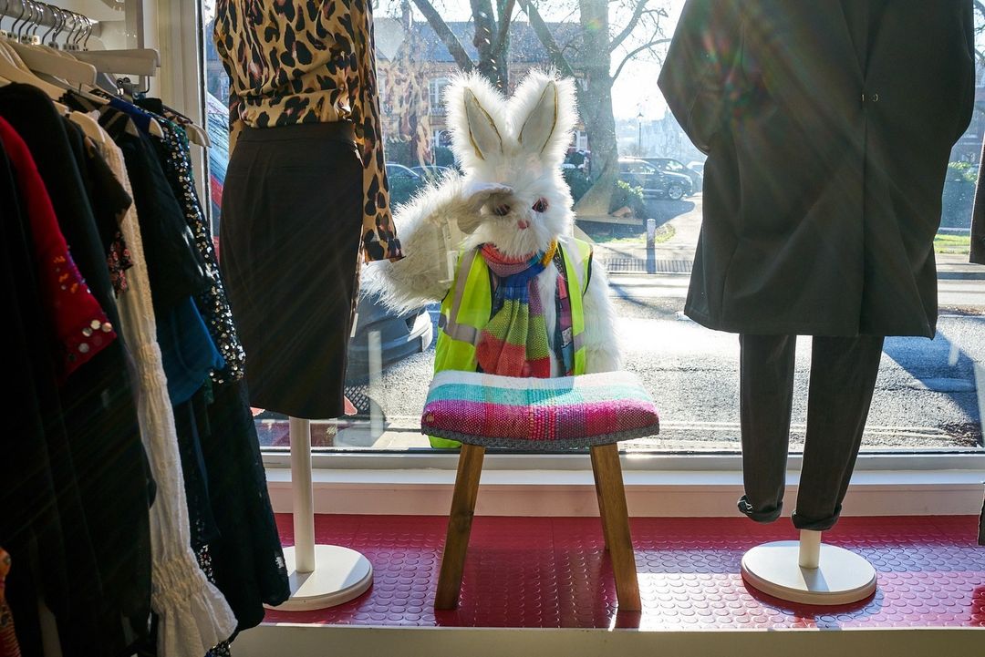 Window display of a large white rabbit figure in safety vest seated on stool with clothing on mannequins and a view to street outside.