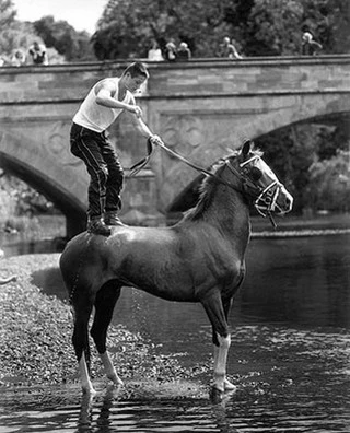 Monochrome image of a man standing on a horse in water near a stone bridge with other people standing on the bridge.