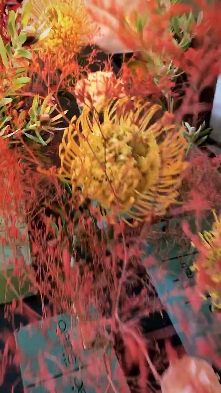 Floral arrangement featuring orange pincushion protea flowers with thin red branches in a decorative display, close-up shot.