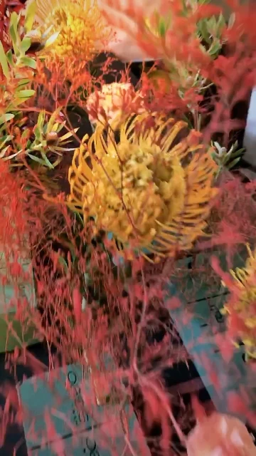 Floral arrangement featuring orange pincushion protea flowers with thin red branches in a decorative display, close-up shot.