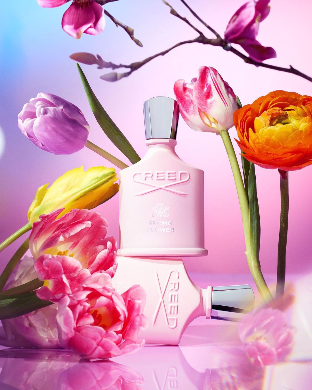 Two pink Creed perfume bottles surrounded by colorful tulips and magnolia flowers on a glossy pink surface with a pastel background.