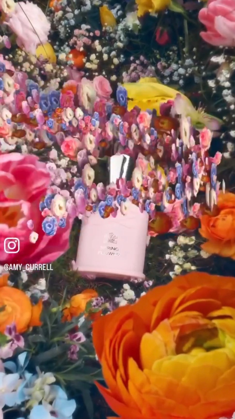 Still life close-up of a pale-pink perfume bottle surrounded by an arrangement of colorful flowers in pink, orange, yellow and blue.