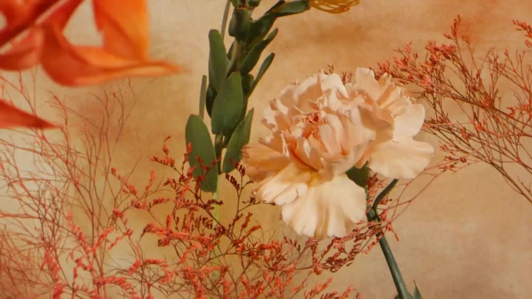 Close-up still life of a peach carnation with green stem and dried floral arrangement set against a patterned beige backdrop.