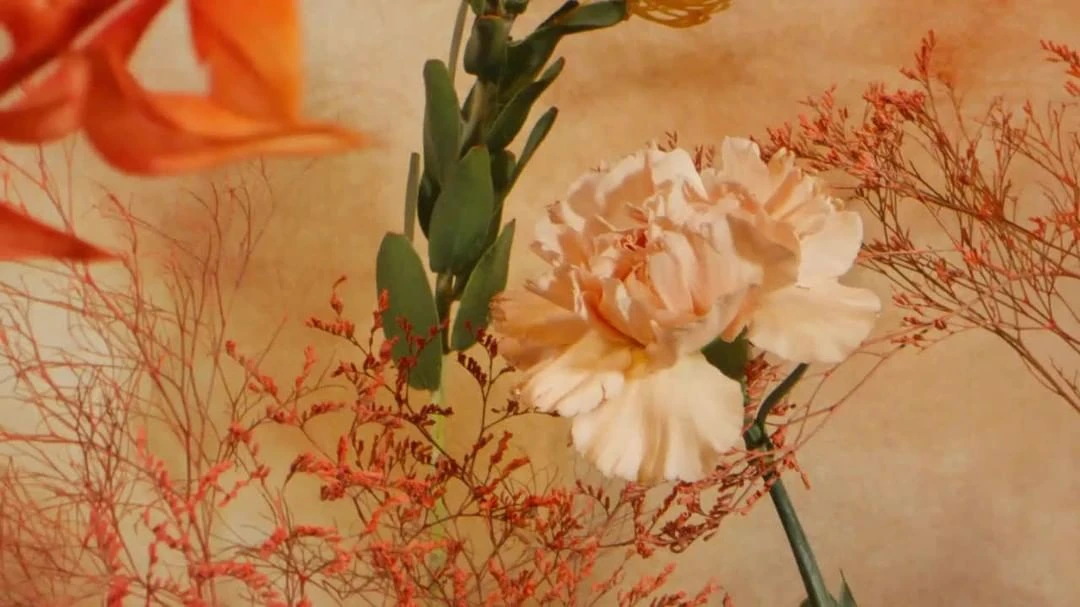 Close-up still life of a peach carnation with green stem and dried floral arrangement set against a patterned beige backdrop.