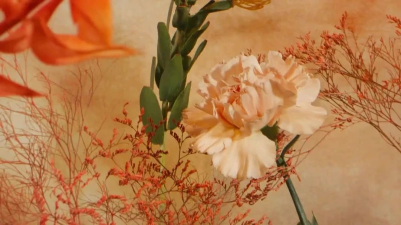 Close-up still life of a peach carnation with green stem and dried floral arrangement set against a patterned beige backdrop.