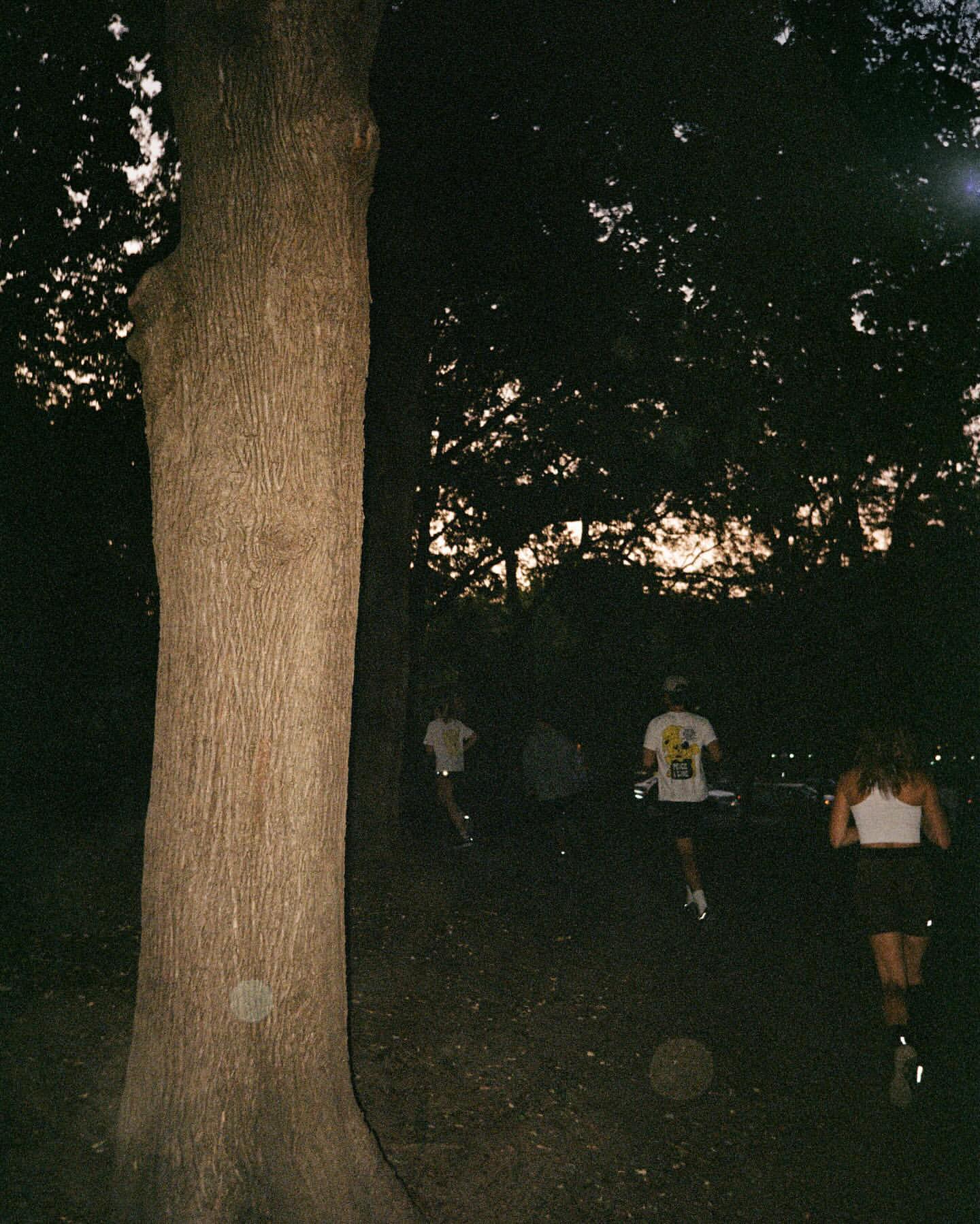 Three people running on a trail at night, trees in the foreground, low lighting. Fitness and sport in an outdoor setting.
