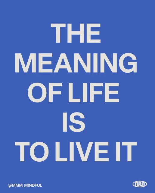 Typography art on blue background displaying 'The meaning of life is to live it' in white sans-serif font.