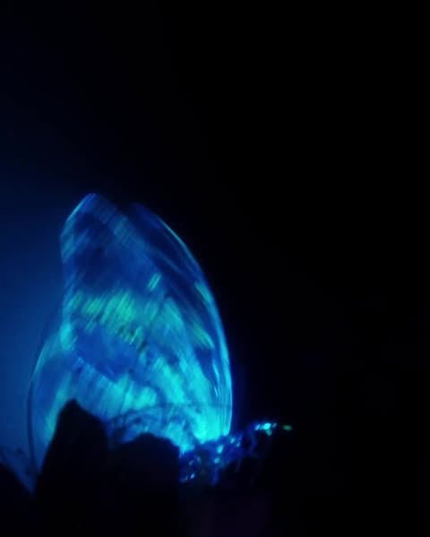 Abstract long exposure of a bright blue light form against a black background, creating a sense of mystery and drama.
