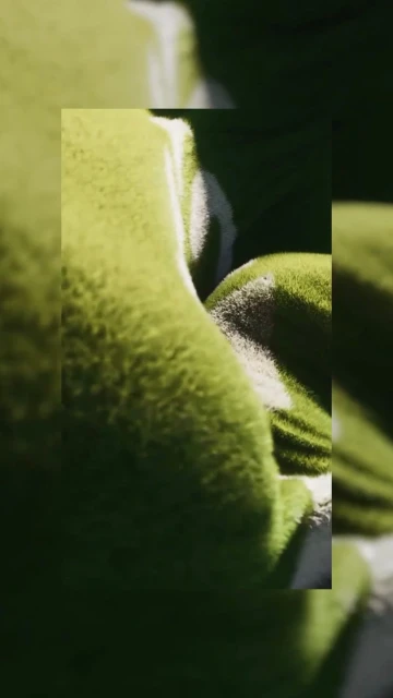 Abstract close-up of a plush green textured surface with soft lighting, revealing subtle patterns and tonal variations.