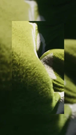 Abstract close-up of a plush green textured surface with soft lighting, revealing subtle patterns and tonal variations.