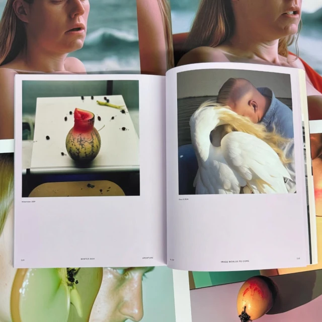 Opened photography book featuring an image of a vase and a man with a swan; surrounded by portraits with soft color grading.