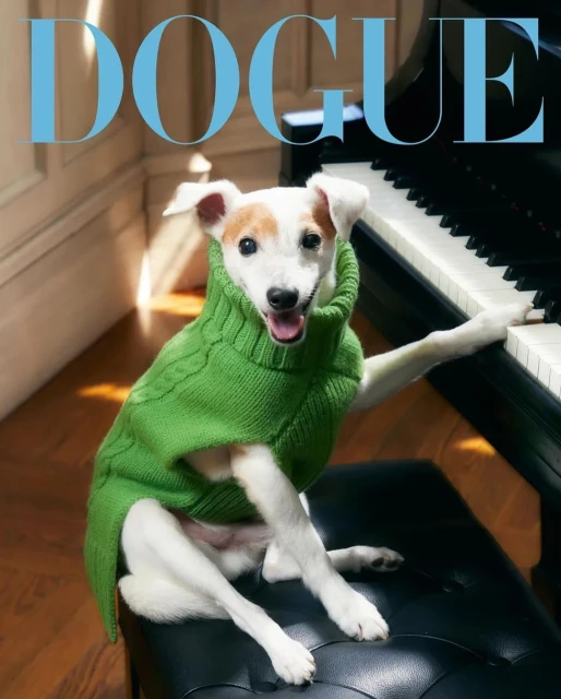 Dog wearing green sweater sits at piano with open mouth. Magazine-style cover with 'DOGUE' text at the top in light blue letters.