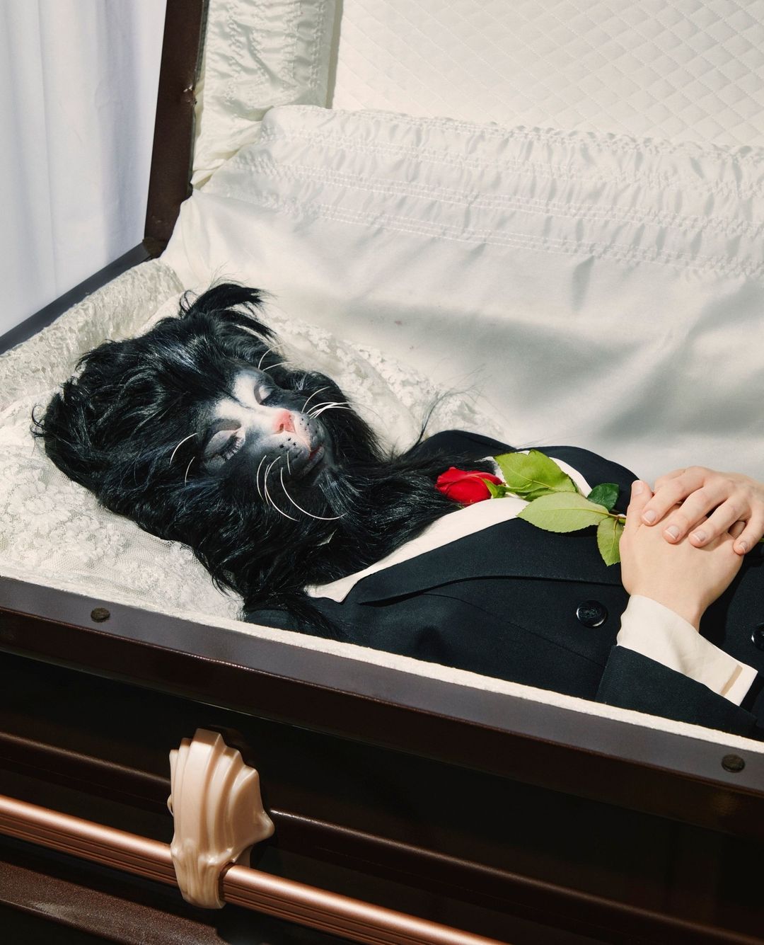 Person with cat face makeup in a casket wearing a tuxedo and holding a red rose, lying on a white satin pillow.